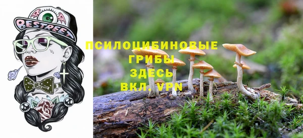 героин Арсеньев